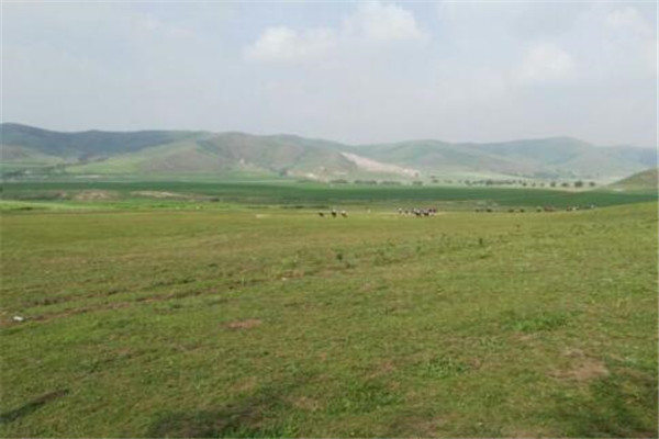 承德好玩的地方排行榜 承德最好玩的地方推荐插图5