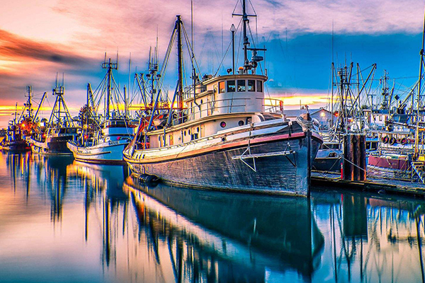 旧金山十大必去景点：第一名被誉为近代桥梁工程的奇迹插图1