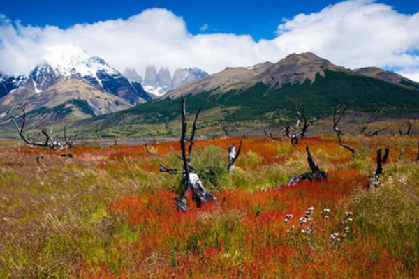 南美洲十大旅游景点 马丘比丘称为遗落的天空之城，第八很壮观插图4