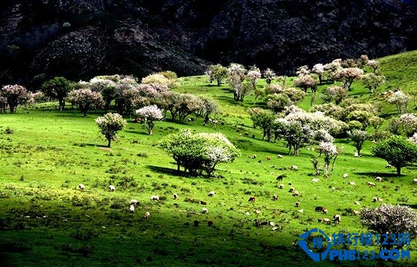 人少又美的旅游景点排行榜插图5