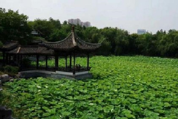 无锡免费湿地公园排名：江尖公园上榜，第六山水交融插图6