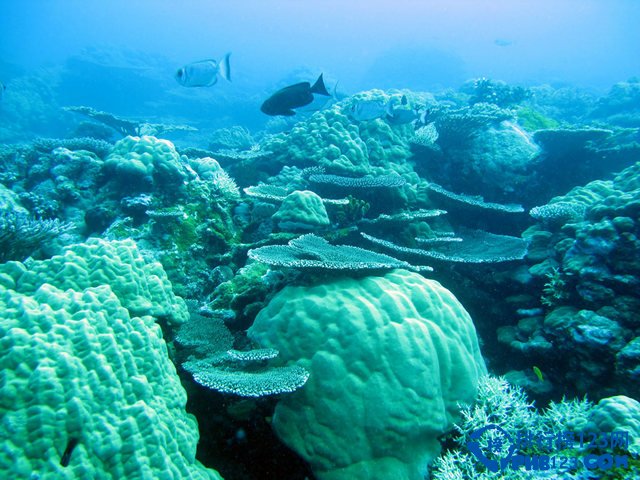 最适合国人旅游的十大免签海岛排行榜插图1