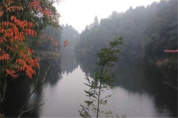 自贡最好玩的地方推荐 自贡好玩的地方排行榜插图7