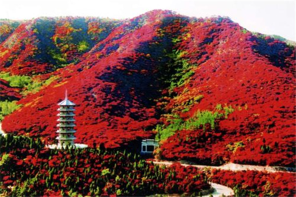 济南十大最值得去的景点：趵突泉第2，第8大型主题公园插图5