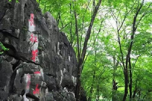 瑞金十大景点：二苏大景区第七，第九长征第一山插图8