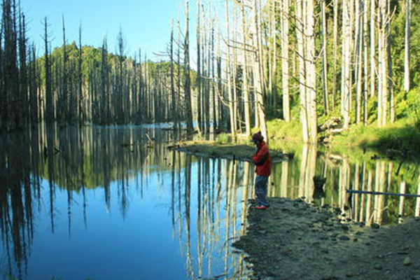 台湾十大爬山好去处：阿里山只排第十 第一名是台湾最高峰插图3
