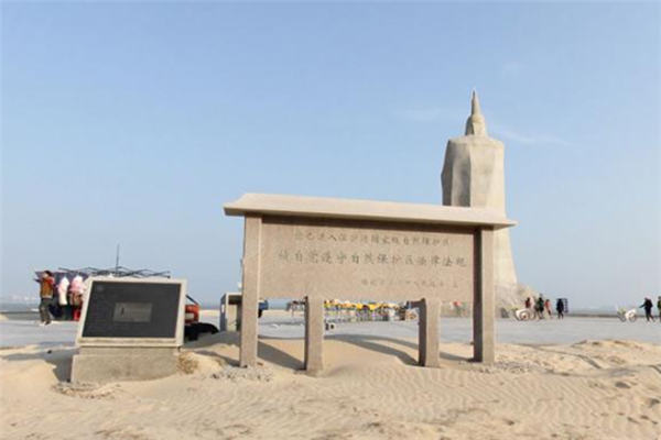 泉州十大免费景点：安海龙山寺上榜，第三非常适合看海插图1