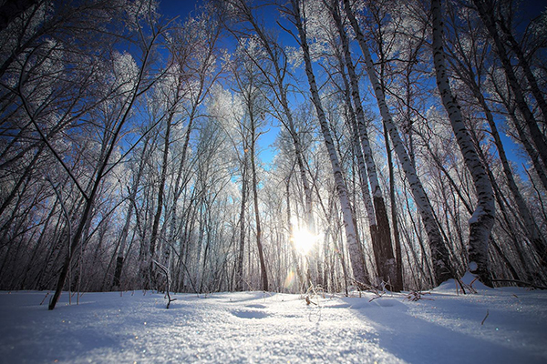 内蒙古十大爬山好去处：红山上榜 喜欢考古的你不能错过插图