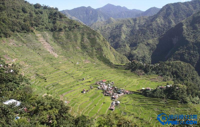 全球最美的十大梯田排行榜插图5