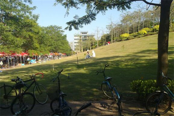 厦门白天约会圣地 你都带她去过几个插图