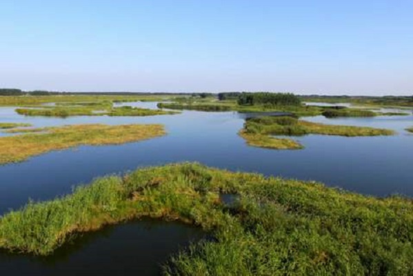 沈阳十大免费景点：万泉公园上榜，第七本地人超爱去插图5