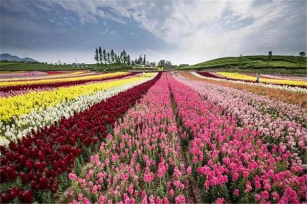 赤峰十大风景名胜排名:心景花海上榜,第6蒙元文化主题插图7 赤峰十大风景名胜排名:心景花海上榜,第6蒙元文化主题插图7