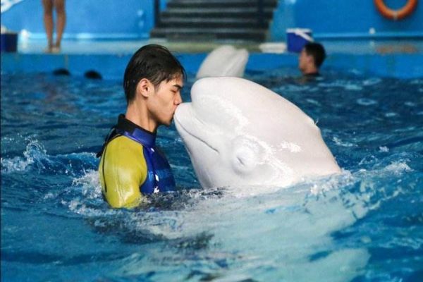 杭州最值得去的十大景点排行榜 西湖与灵隐寺均有上榜插图6