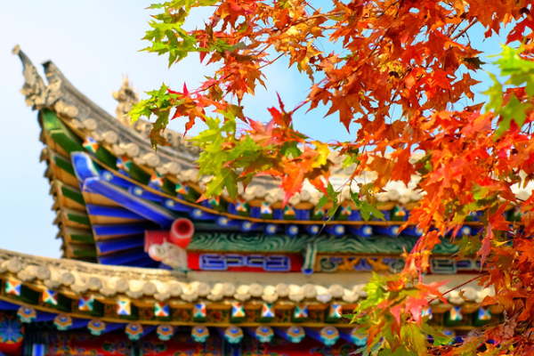 青海最好玩的十大景点，青海湖景色独特 塔尔寺艺术气息浓厚插图8