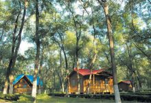 顺义旅游必去景点排行榜：唐指山风景区第3 第4采摘樱桃|爱分享