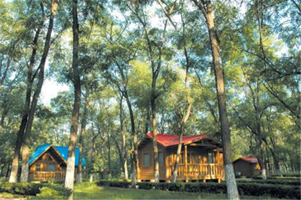 顺义旅游必去景点排行榜：唐指山风景区第3 第4采摘樱桃插图9