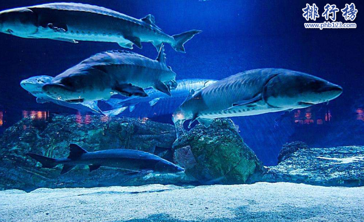 北京十大儿童地点：北京带孩子必去的地方推荐插图9