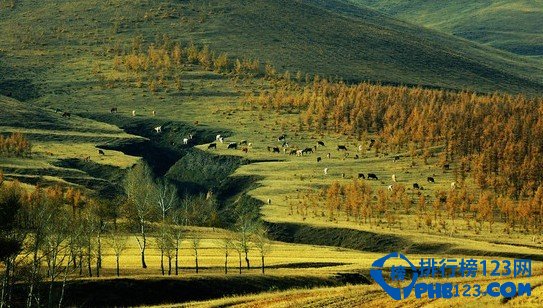 中国十大最坑人的景点排行榜插图8