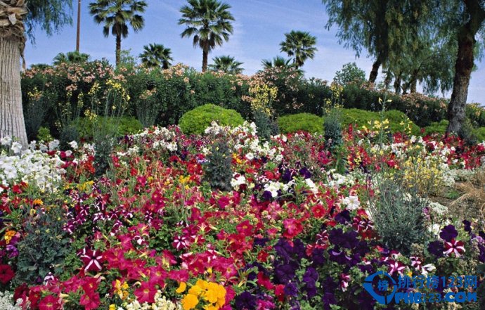 全球十大情侣度假胜地排行榜插图8