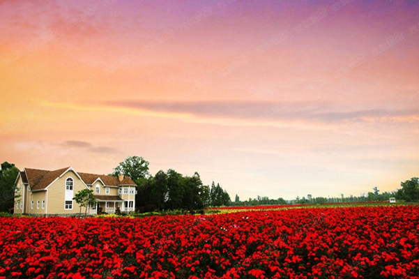 成都十大网红景点：锦里上榜，它是杜甫故居插图7