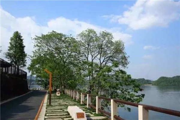 浙江抖音十大热门景点 这些景点在抖音经常被提及插图5