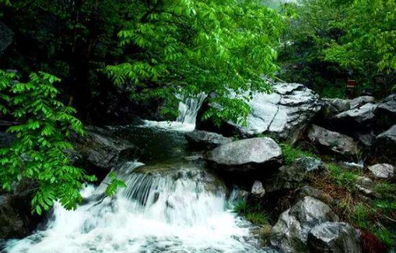 平顶山好玩的地方排行榜 阿婆寨玻璃吊桥你敢去吗插图5