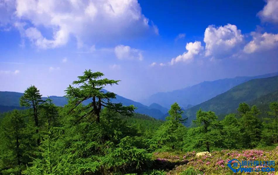 中国十大最美古道 最美的十大古道插图2