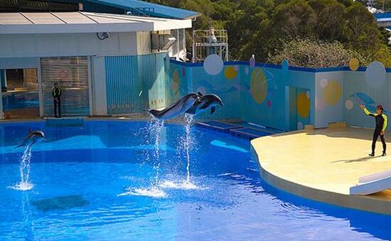国内十大门票最贵游乐园,有钱就去迪士尼(附门票价格)插图1