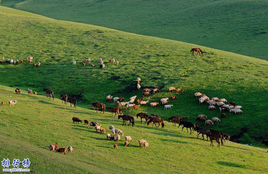 中国十大最美草原排行榜 中国哪里的草原最美插图9