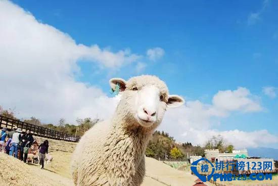 全球十大亲子旅游地排行榜插图5