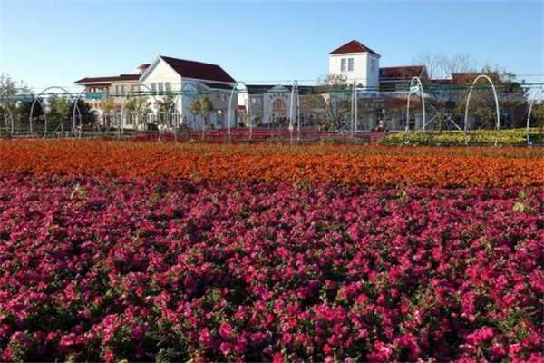 锦州最好玩的地方推荐 锦州好玩的地方排行榜插图5