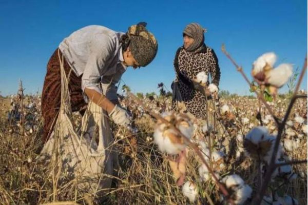乌兹别克斯坦十大城市 乌兹别克斯坦有哪些主要城市插图4