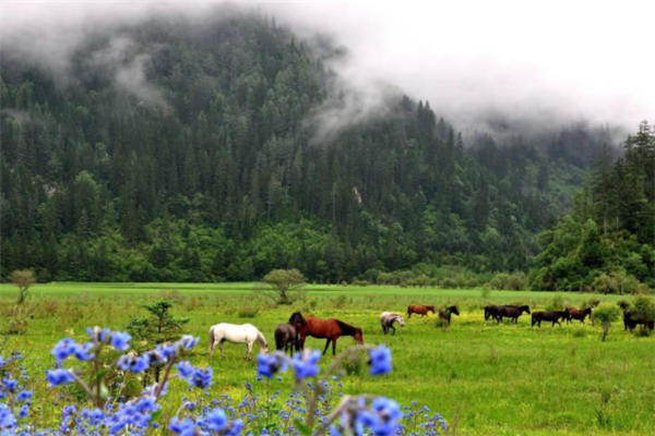 四川最美景点排行榜：天台山上榜，第一自然景观丰富插图4