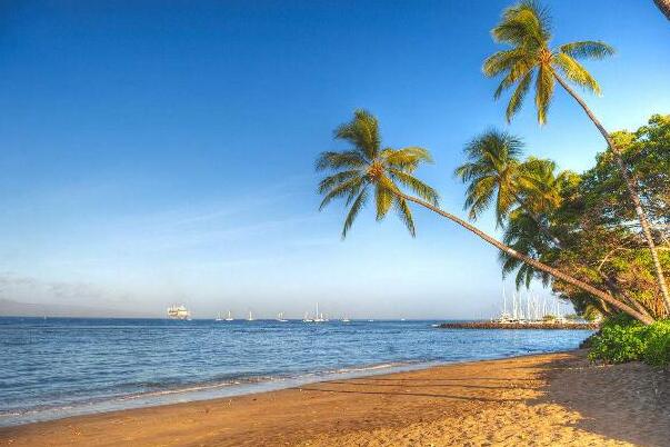 世界最美海滩排行榜10强 夏威夷海滩上榜，第一在澳大利亚插图4