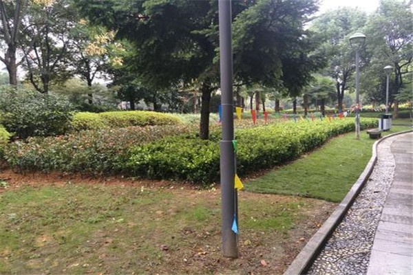 清远十大公园广场排名：第3网红农场，龙山公园上榜插图4