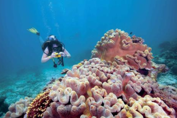 大洋洲最有名的十大景点 澳大利亚景点最多，第五产黑珍珠插图8