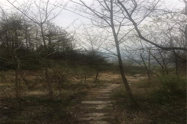 池州十大风景名胜排名：望华楼上榜，第8网红花海插图3