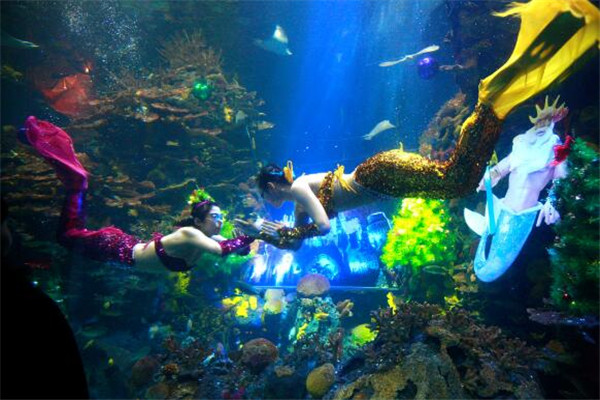 上海值得去的冷门景点 新场古镇上榜，第七国内规模靠前插图1