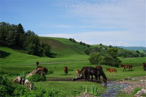 新疆十大景区排名：天山天池第四，第十最现代繁华插图4