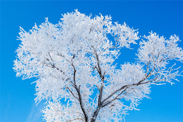 中国十大最美雾凇观赏地：衡山上榜，第六是天鹅栖息地插图4