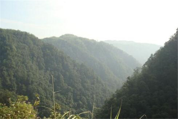 泸州最好玩的地方推荐 泸州好玩的地方排行榜插图5