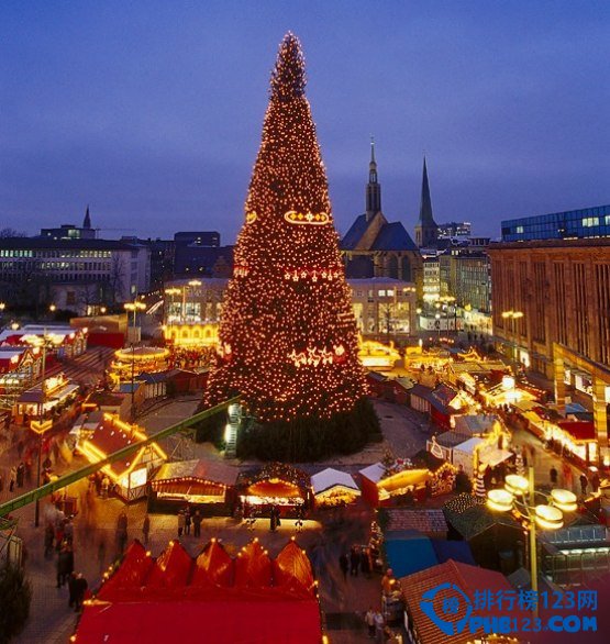 全球最美的十四大圣诞树排行榜插图8