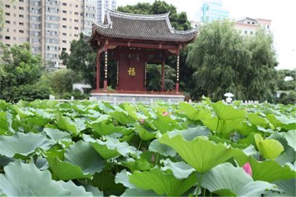 福州十大公园广场排名:西湖公园上榜，第8花海超美插图5