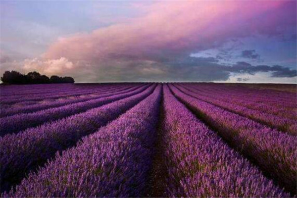 世界最美的十大地方 圣托里尼岛美到让人想哭，此生必去插图7