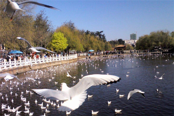 昆明十大最美景点：元谋士林上榜，第十综合性很强插图8