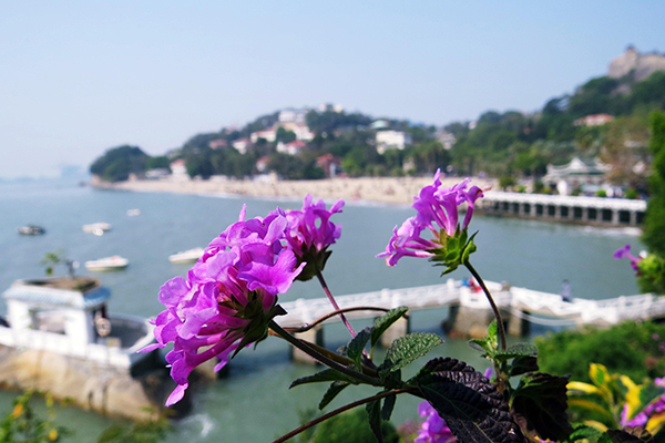 福建十大最好玩的地方：道家圣地太姥山上榜 第一名乐趣无限插图2
