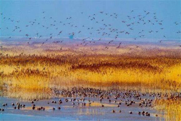 上海秋景最美的地方 美哭，你去过几条插图9