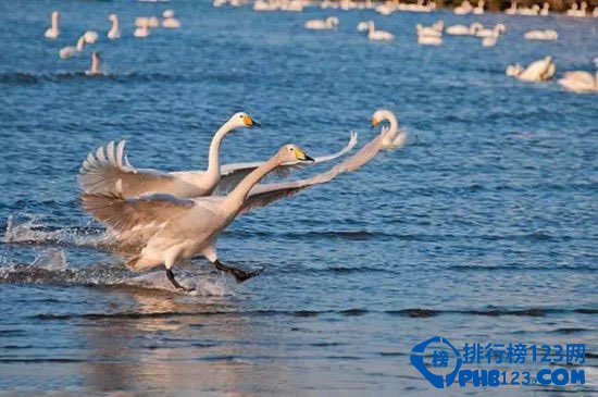 国内10大原始处女地排行榜插图7