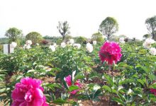 随州最好玩的地方推荐 随州好玩的地方排行榜|爱分享