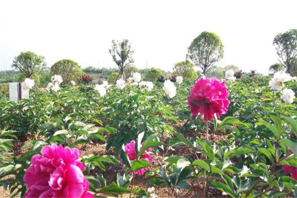 随州最好玩的地方推荐 随州好玩的地方排行榜插图7